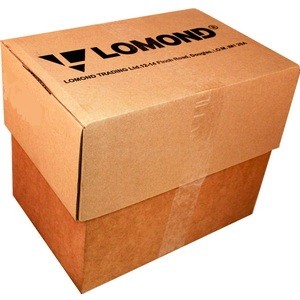 Самоклеющаяся бумага Lomond А4 (2100035Т), 6 дел.(105х99), коробка